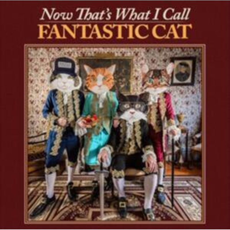 Now Thats What I Call Fantastic Cat