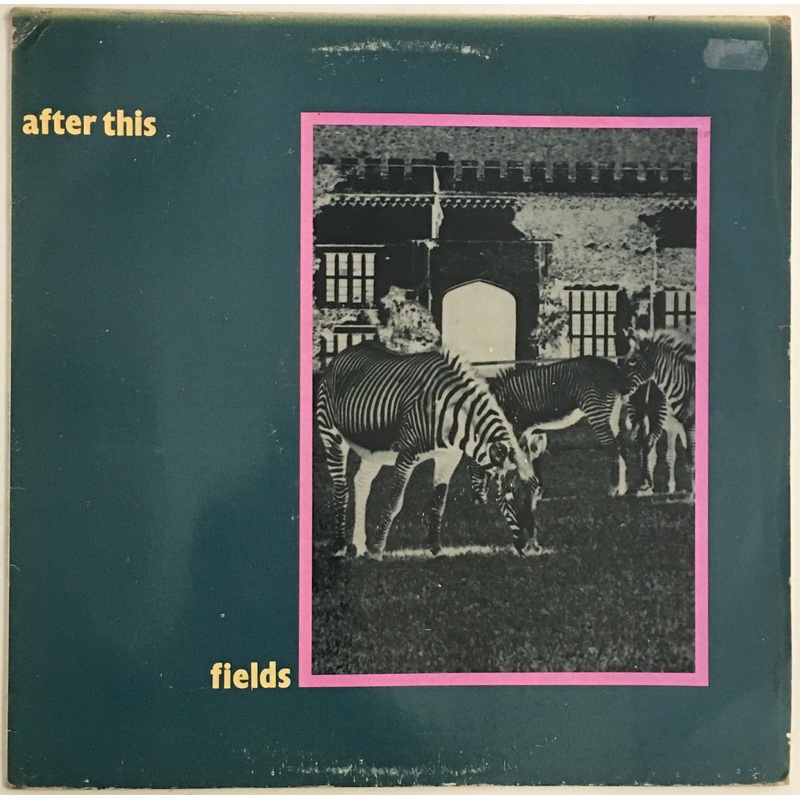After This – Fields / Hollow Hills 12 Single