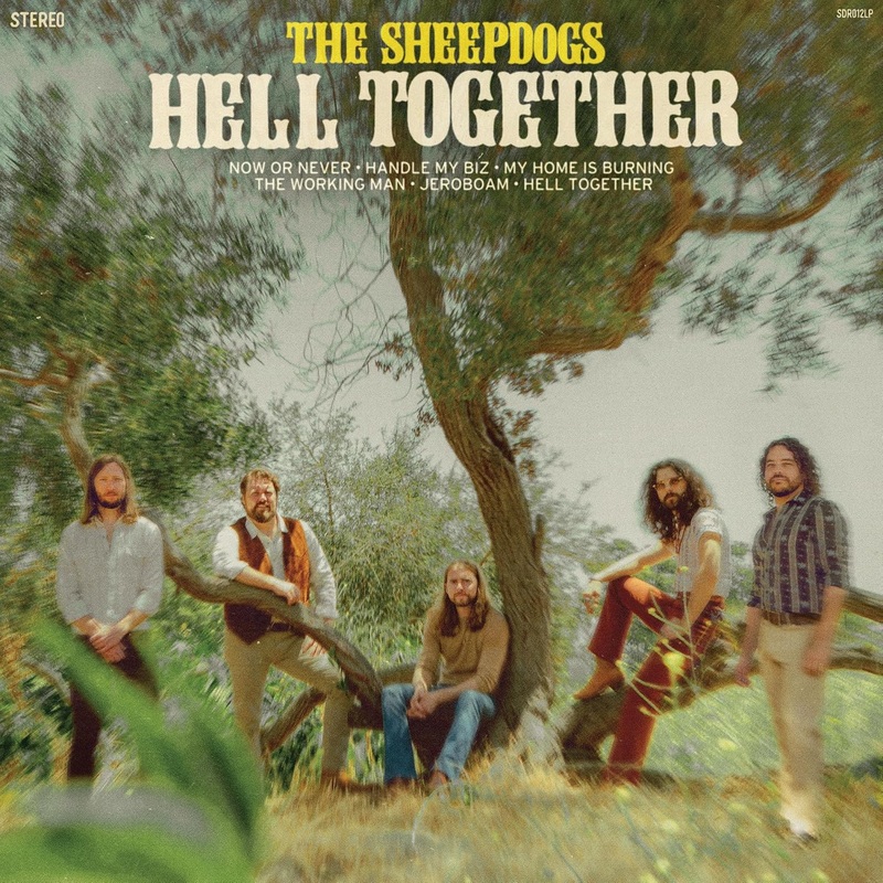 CD – The Sheepdogs – Hell Together