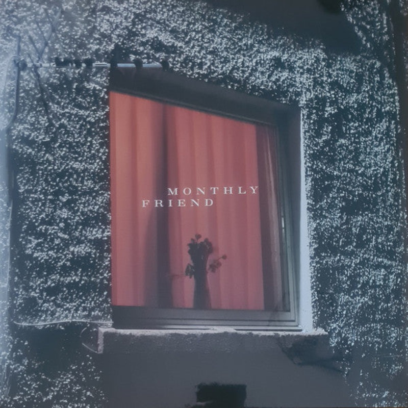Wyldest  Monthly Friend Lp (Ltd Random Colour + Signed Print)