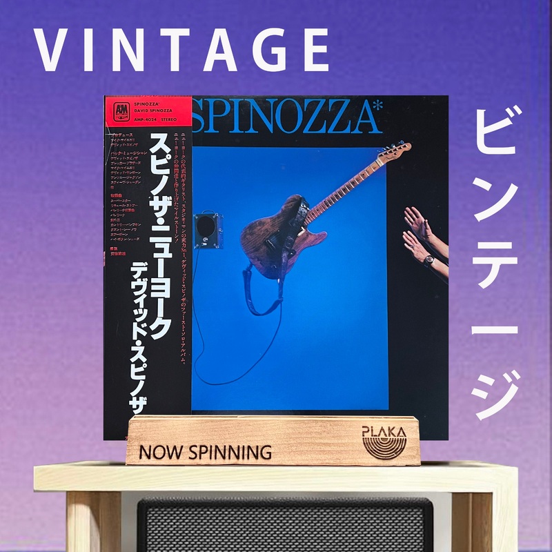 David Spinozza – David Spinozza