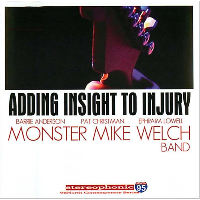 USED CD – The Monster Mike Welch Band  Adding Insight To Injury