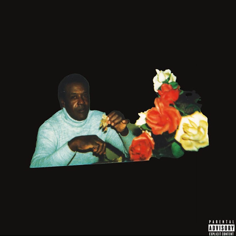Vince Staples  Ramona Park Broke My Heart – CD