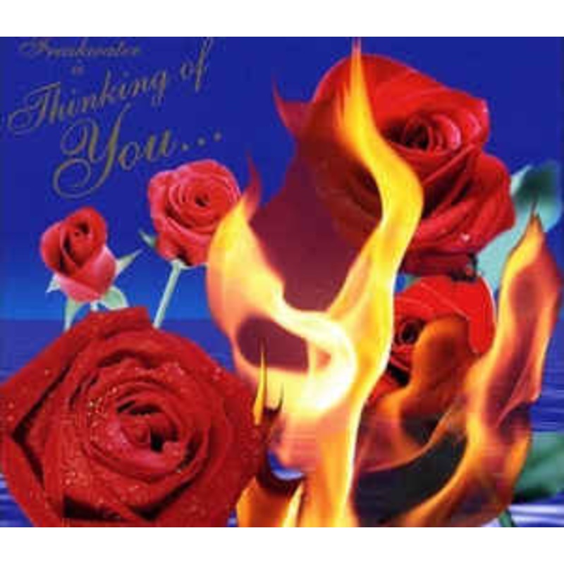 Freakwater – Thinking Of You… – CD