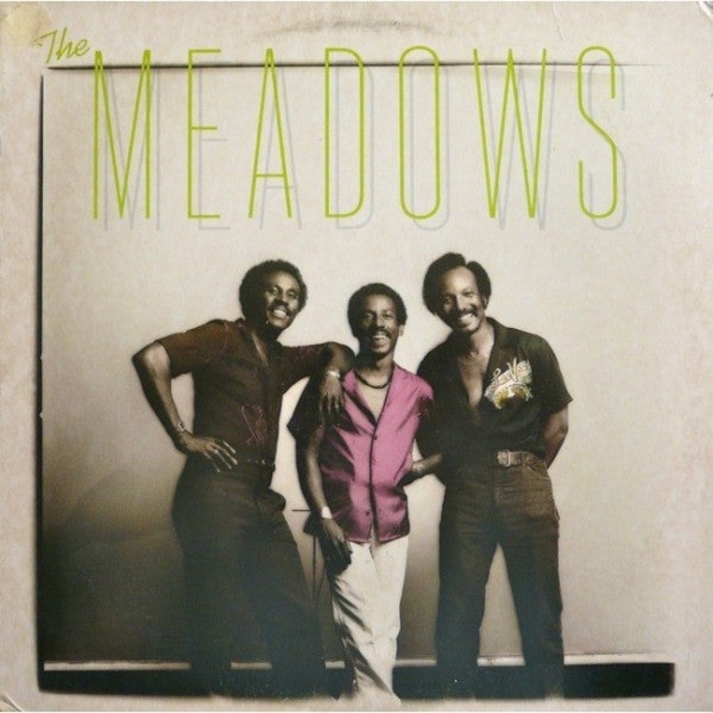 The Meadows  – The Meadows – LP, Album – Near Mint (NM or M-)