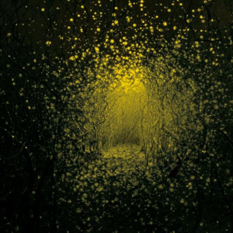 USED CD – The Antlers  Burst Apart